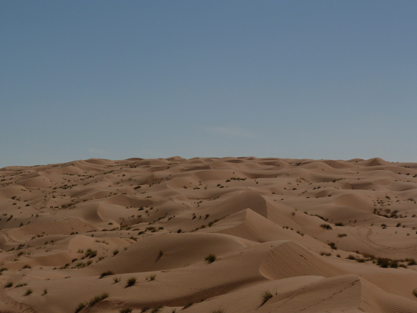 Wahiba sands