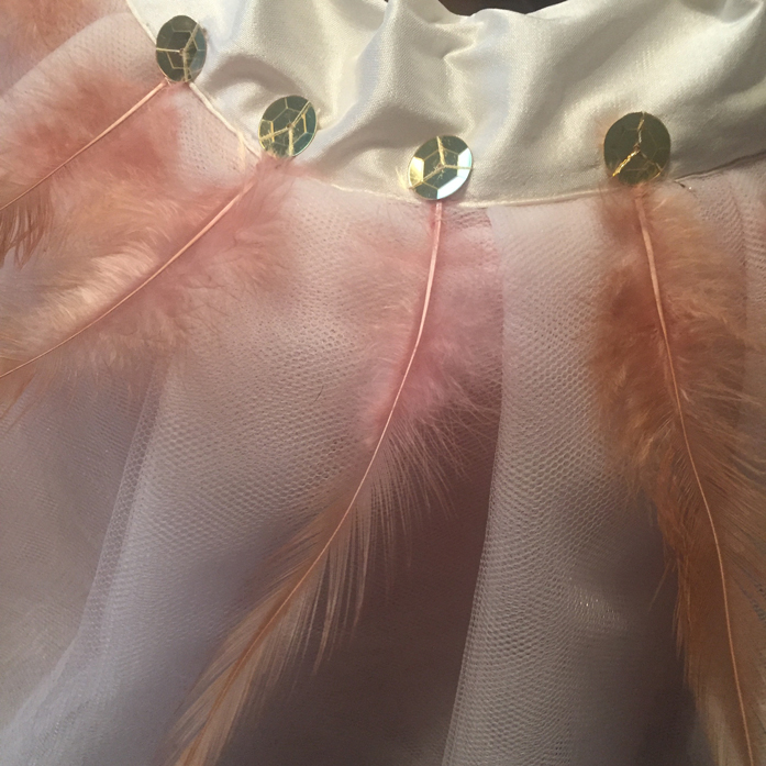 Pale pink tulle ballerina tutus with feathers