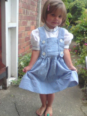 blue and white gingham dorothy dress