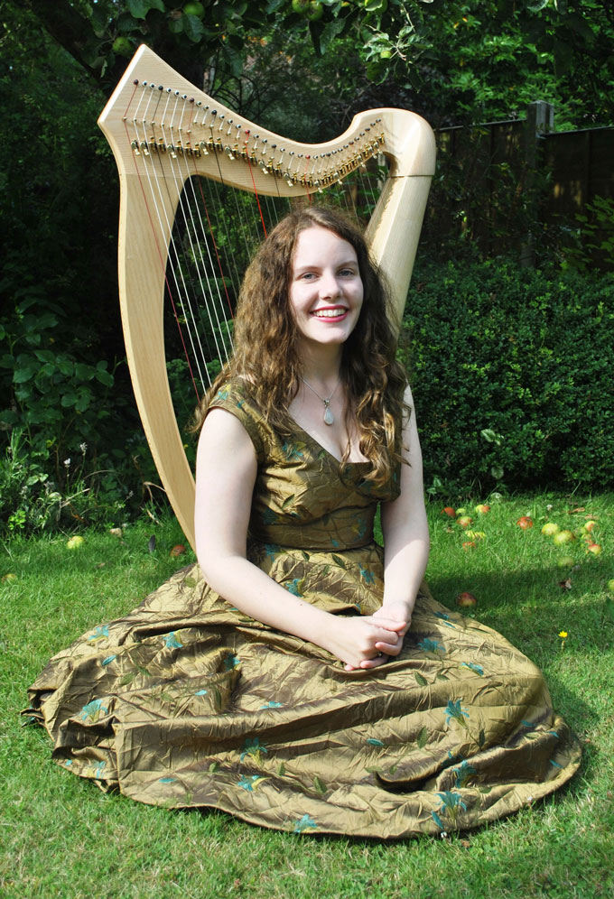 embroidered poly taffeta harp dress