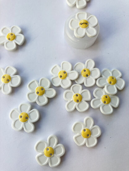 white and yellow daisy button