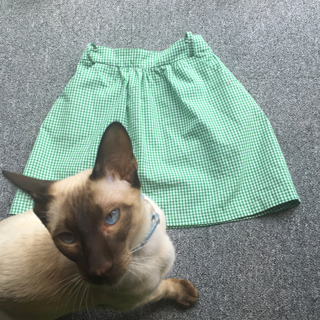 siamese kitten and green gingham school skirt