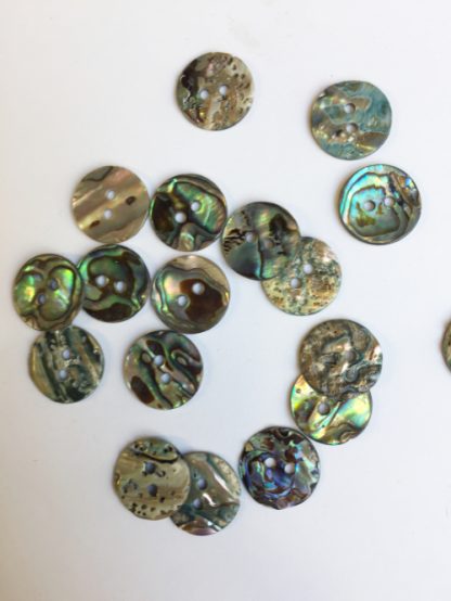 abalone shell 2 hole button