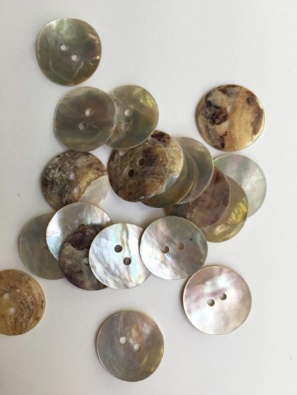 natural shell 2 hole button