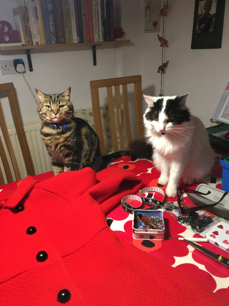 cats helping with the sewing