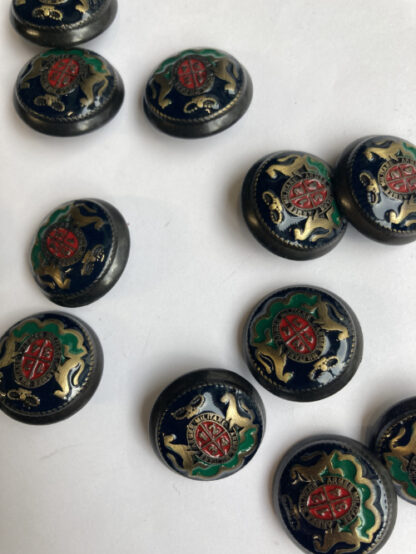 Gunmetal, Brass, Blue Red and Green enamelled paint coat of arms domed metal military button on shank