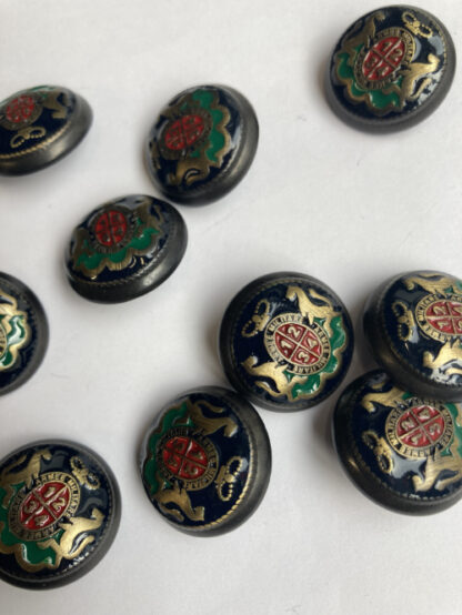 Gunmetal, Brass, Blue Red and Green enamelled paint coat of arms domed metal military button on shank