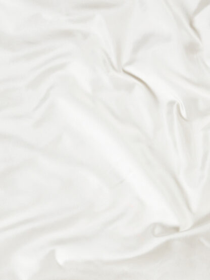 Ivory Pure Silk Zibeline Taffeta